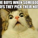 Scared Cat | THE BOYS WHEN SOMEBODY SAYS THEY PICK THEIR NOSE | image tagged in memes,scared cat | made w/ Imgflip meme maker