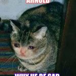 Arnold | ARNOLD; WHY HE BE SAD | image tagged in arnold,arnold meme,funny cat memes,hamster | made w/ Imgflip meme maker
