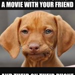 does anyone else have a friend like this | WHEN YOUR WATCHING A MOVIE WITH YOUR FRIEND; AND THEIR ON THEIR PHONE | image tagged in straight face dog,true | made w/ Imgflip meme maker
