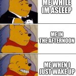 Tuxedo on Top Winnie The Pooh (3 panel) | ME WHILE IM ASLEEP; ME IN THE AFTERNOON; ME WHEN I JUST WAKE UP | image tagged in tuxedo on top winnie the pooh 3 panel | made w/ Imgflip meme maker