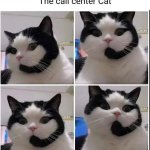 call center cat