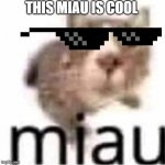 miau | THIS MIAU IS COOL | image tagged in miau,cool | made w/ Imgflip meme maker