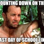 Last day of school | COUNTING DOWN ON THE; LAST DAY OF SCHOOL LIKE | image tagged in cast away | made w/ Imgflip meme maker