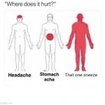 PAIN | That one sneeze | image tagged in where does it hurt | made w/ Imgflip meme maker