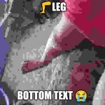 The ? | 🦵LEG; BOTTOM TEXT 😭 | image tagged in leg,oh wow are you actually reading these tags | made w/ Imgflip meme maker