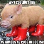 Pig In Boots | WHY COULDN'T I BE; AS FAMOUS AS PUSS IN BOOTS? | image tagged in pig in boots | made w/ Imgflip meme maker