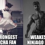 Strongest Fan VS Weakest Fan | STRONGEST GACHA FAN; WEAKEST NINJAGO FAN | image tagged in strongest fan vs weakest fan,gacha life,ninjago | made w/ Imgflip meme maker