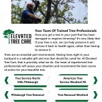 American Tree Service Wexford PA