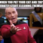 Patrick Stewart "why the hell..." | WHEN YOU PAT YOUR CAT AND THEY IMMEDIATLY START CLEANING THEMSELVES. | image tagged in patrick stewart why the hell | made w/ Imgflip meme maker