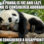 Life ain't fair | A PANDA IS FAT AND LAZY, AND IS CONSIDERED ADORABLE; BUT I'M CONSIDERED A DISAPPOINTMENT... | image tagged in sleeping panda,memes,fun | made w/ Imgflip meme maker