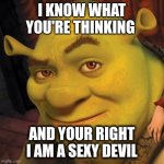 Shrek sexy face | I KNOW WHAT YOU'RE THINKING; AND YOUR RIGHT I AM A SEXY DEVIL | image tagged in shrek sexy face,memes,shrek | made w/ Imgflip meme maker