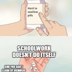 Osmotic learning 1 | SCHOOLWORK DOESN'T DO ITSELF; AND YOU CAN'T LEARN BY OSMOSIS | image tagged in memes,hard to swallow pills | made w/ Imgflip meme maker