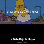 La Gata Bajo la Liuvia Homero