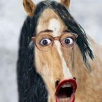 AOCbiscuit