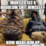 Now Wake Him Up. | WANT TO SEE A HOODLUM SHIT HIMSELF? NOW WAKE HIM UP. | image tagged in now wake him up | made w/ Imgflip meme maker