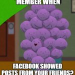 member berries  | 'MEMBER WHEN; FACEBOOK SHOWED POSTS FROM YOUR FRIENDS? | image tagged in member berries | made w/ Imgflip meme maker