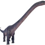 Dreadnoughtus 3 (JWD Design)