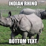 Indian Rhino Meme | INDIAN RHINO; BOTTOM TEXT | image tagged in rhinoceros | made w/ Imgflip meme maker