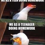 Ages of homework | ME AS A CHILD DOING HOMEWORK; ME AS A TEEN DOING HOMEWORK; ME AS A TEENAGER DOING HOMEWORK; ME AS A ADULT DOING A 24/7 JOB | image tagged in memes,inhaling seagull,homework,child,teenager,adult | made w/ Imgflip meme maker