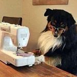 DOG AT SEWING MACHINE