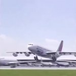 dancing plane with bird GIF Template
