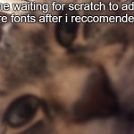 come one there's 9 fonts | me waiting for scratch to add more fonts after i reccomended it: | image tagged in cat stare | made w/ Imgflip meme maker