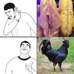 Drake pussy cock
