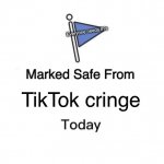 Marked Safe From | Everyone needs this; TikTok cringe | image tagged in memes,marked safe from,tiktok sucks | made w/ Imgflip meme maker