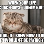 Dream big! | WHEN YOUR LIFE COACH SAYS, "DREAM BIG!"; "GIRL, IF I KNEW HOW TO DO THAT, I WOULDN'T BE PAYING YOU." | image tagged in angry cat computer side eye | made w/ Imgflip meme maker