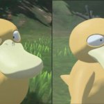 Iritated psyduck