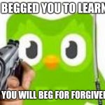 Doulingo holding a gun | I BEGGED YOU TO LEARN; NOW YOU WILL BEG FOR FORGIVENESS | image tagged in doulingo holding a gun | made w/ Imgflip meme maker