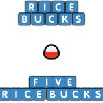 5 rice bucks