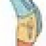 Lloyd Background