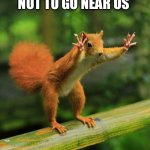 Crazy | DO SQUIRRELS PARENTS TELL THEM NOT TO GO NEAR US; BECAUSE WE MIGHT HAVE RABIES? | image tagged in wait a minute squirrel | made w/ Imgflip meme maker