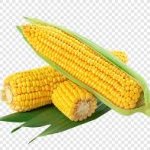 Corn