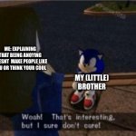 Sonic I dont care | ME: EXPLAINING THAT BEING ANOYING DOESNT  MAKE PEOPLE LIKE YOU OR THINK YOUR COOL; MY (LITTLE) BROTHER | image tagged in sonic i dont care | made w/ Imgflip meme maker