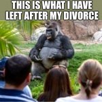 Divorce Court For Men | THIS IS WHAT I HAVE LEFT AFTER MY DIVORCE | image tagged in gorilla glue | made w/ Imgflip meme maker