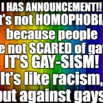 END GAYSISM!! | I HAS ANNOUNCEMENT!! It's not HOMOPHOBIA because people are not SCARED of gays. IT'S GAY-SISM! It's like racism, but against gays. | image tagged in rainbow background | made w/ Imgflip meme maker