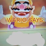 Wario says customizable