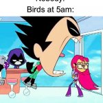 A short, but true meme | Nobody:; Birds at 5am: | image tagged in robin yelling at starfire,memes,funny,true story,birds,summer | made w/ Imgflip meme maker