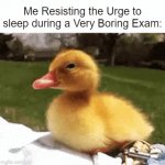 I sleep anyway. | Me Resisting the Urge to sleep during a Very Boring Exam: | image tagged in gifs,ducks,memes,funny,exam,relatable memes | made w/ Imgflip video-to-gif maker