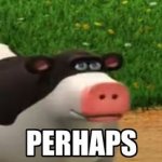 Perhaps Cow