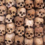 Pol Pot skulls genocide DeSantis JPP Republicans