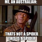 That's not a knife | MY FRIEND: SEE'S A SPIDER
THEM: SPIDER! ME, AN AUSTRALIAN:; THATS NOT A SPIDER
THIS IS A SPIDER | image tagged in that's not a knife | made w/ Imgflip meme maker