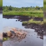 Man falls in swamp GIF Template
