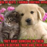 Animal Control Officer :They are the Voice for animals | BECAUSE OF ACO'S   ( ANIMAL CONTROL OFFICERS ); THEY HAVE SOMEONE IN THEIR CORNER TO DEFEND THEM AND THEIR RIGHTS | image tagged in puppies and kittens,animal control officer,aco,justice,laws,family | made w/ Imgflip meme maker