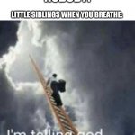 they tattle for EVERYTHING | NOBODY:; LITTLE SIBLINGS WHEN YOU BREATHE: | image tagged in im telling god | made w/ Imgflip meme maker