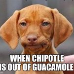 #MyStruggles | WHEN CHIPOTLE IS OUT OF GUACAMOLE | image tagged in frustrated dog,chipotle,funny,meme | made w/ Imgflip meme maker