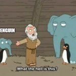 Elephant Penguin Meme | ZKPENGUIN | image tagged in elephant penguin meme | made w/ Imgflip meme maker