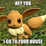 Eevee is coming to your house | HEY YOU; I GO TO YOUR HOUSE | image tagged in evil eevee | made w/ Imgflip meme maker